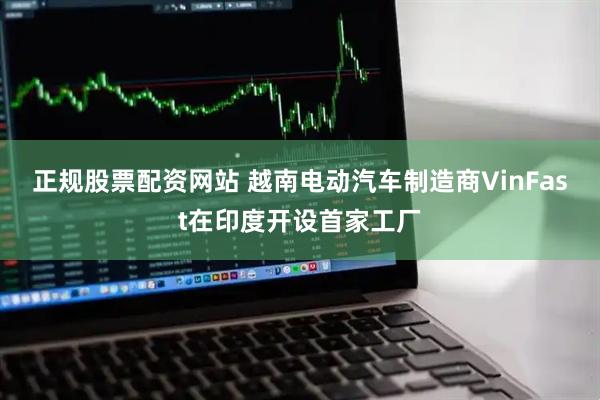 正规股票配资网站 越南电动汽车制造商VinFast在印度开设首家工厂