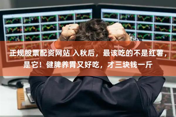 正规股票配资网站 入秋后，最该吃的不是红薯，是它！健脾养胃又好吃，才三块钱一斤