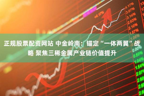 正规股票配资网站 中金岭南：锚定“一体两翼”战略 聚焦三稀金属产业链价值提升