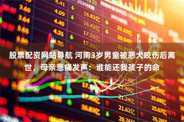 股票配资网站导航 河南3岁男童被恶犬咬伤后离世，母亲悲痛发声：谁能还我孩子的命